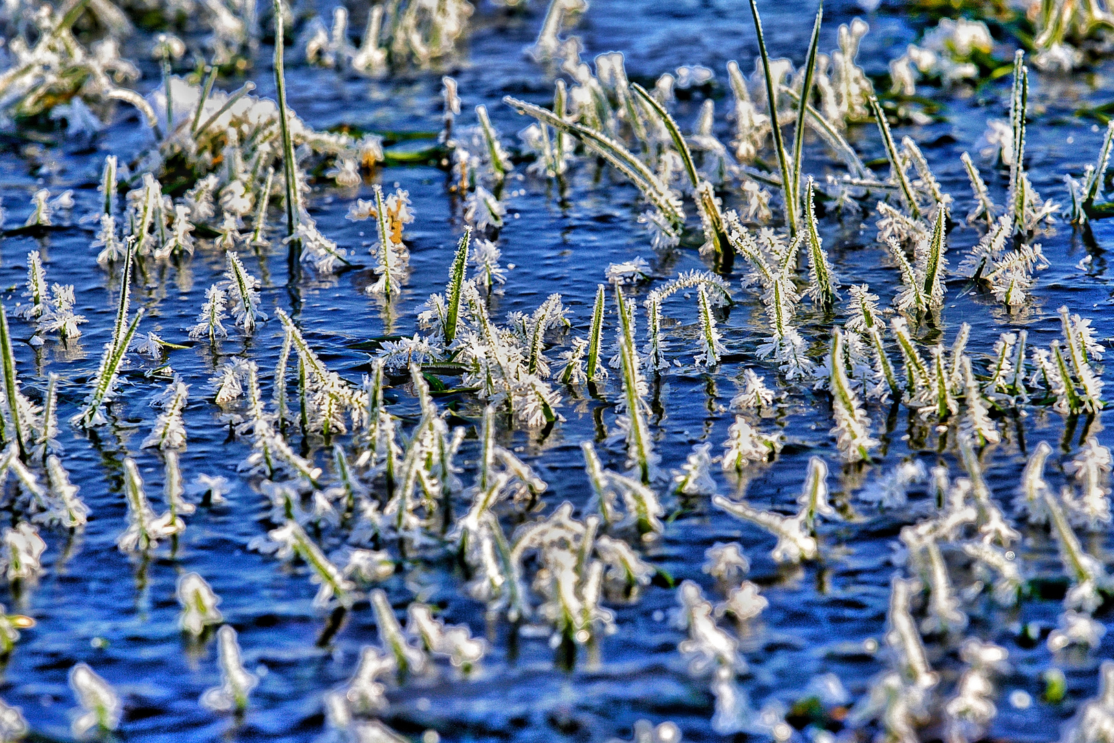 Sonnig und Eiskalt...