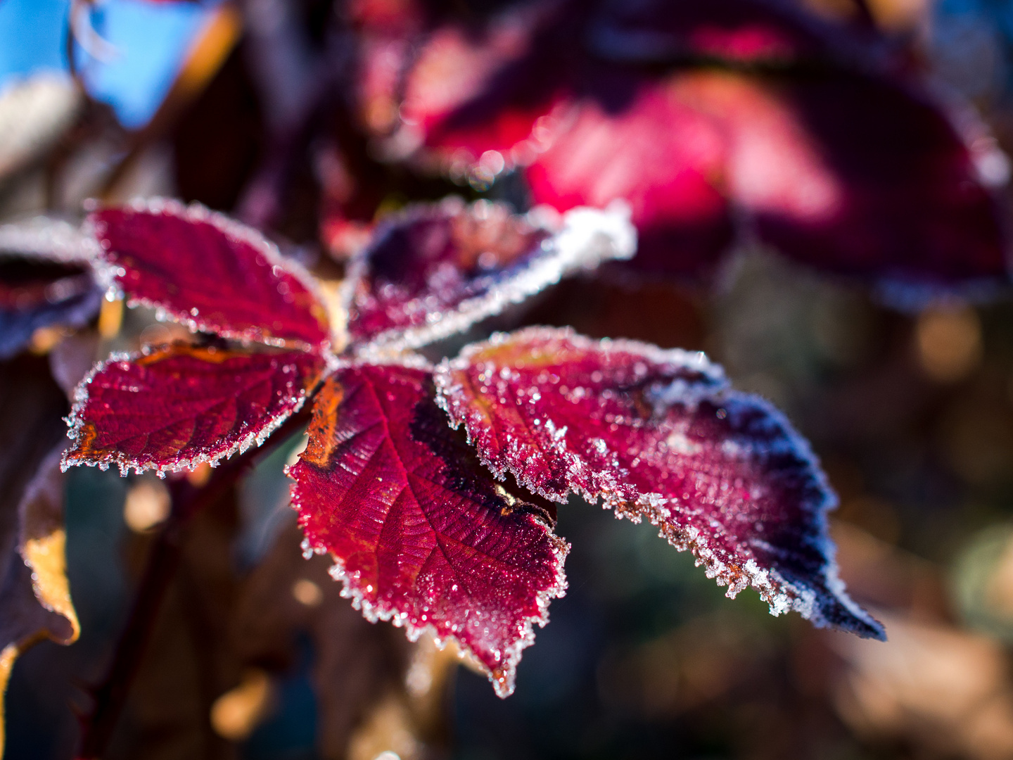 sonnig und eiskalt