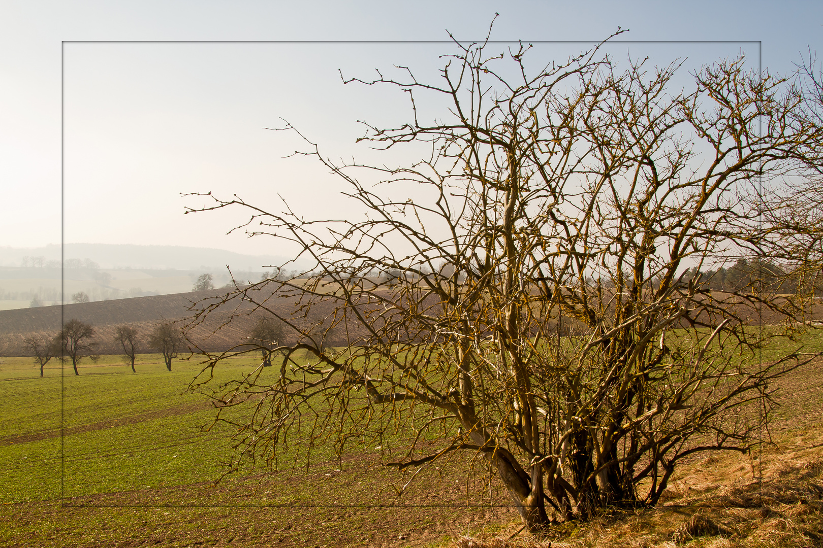 Sonnige Aussicht