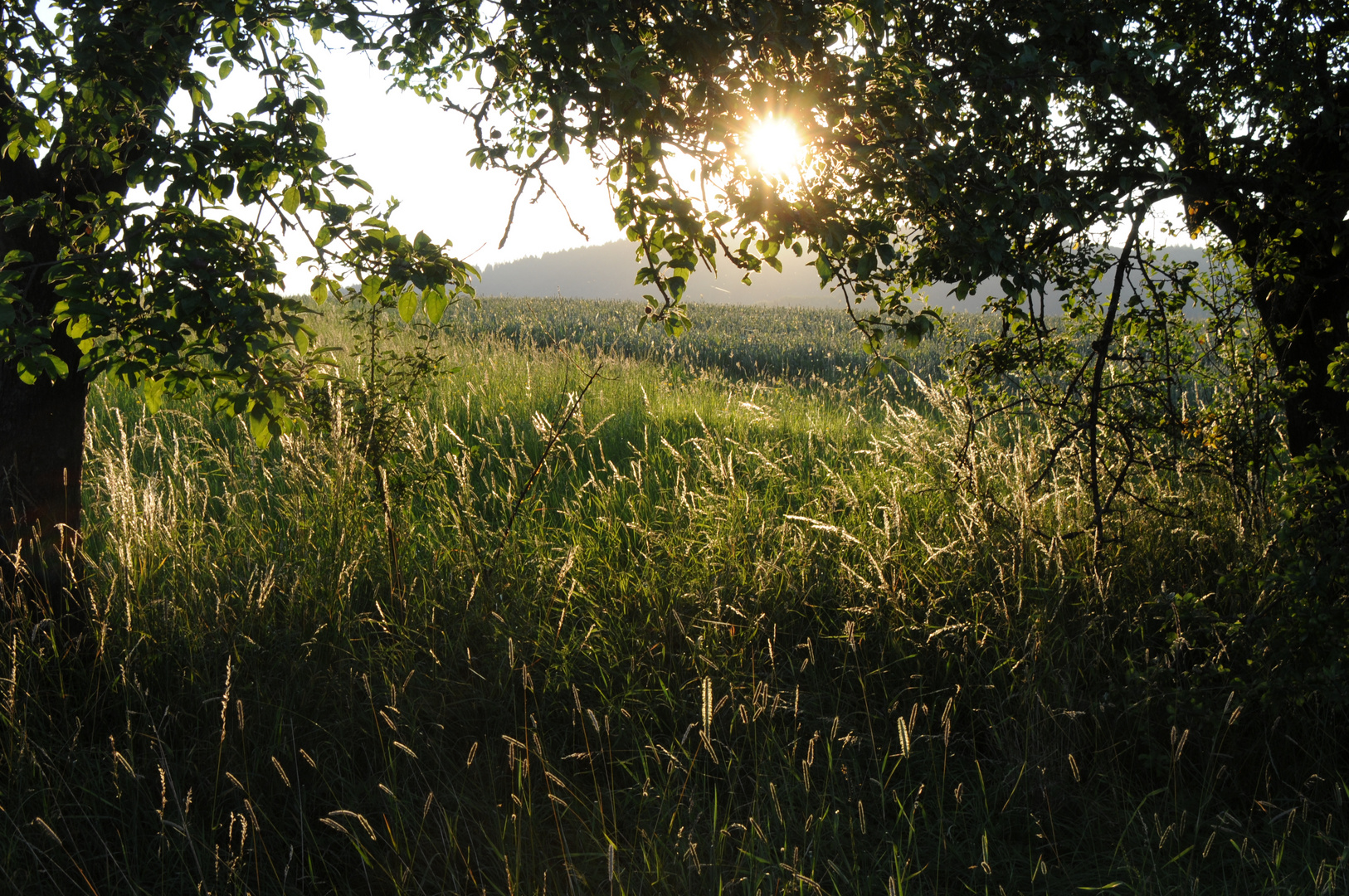 Sonnige Aussicht