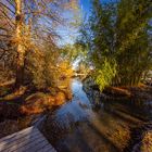 Sonnige Aussicht am Teich