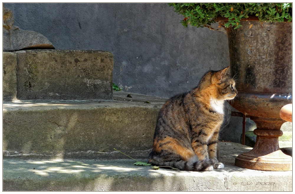 SONNIGE AUSSICHTEN