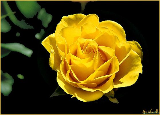 Sonnige Aussichten...