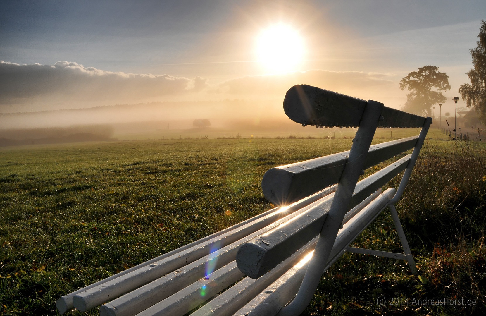 Sonnige Aussichten // Nebel