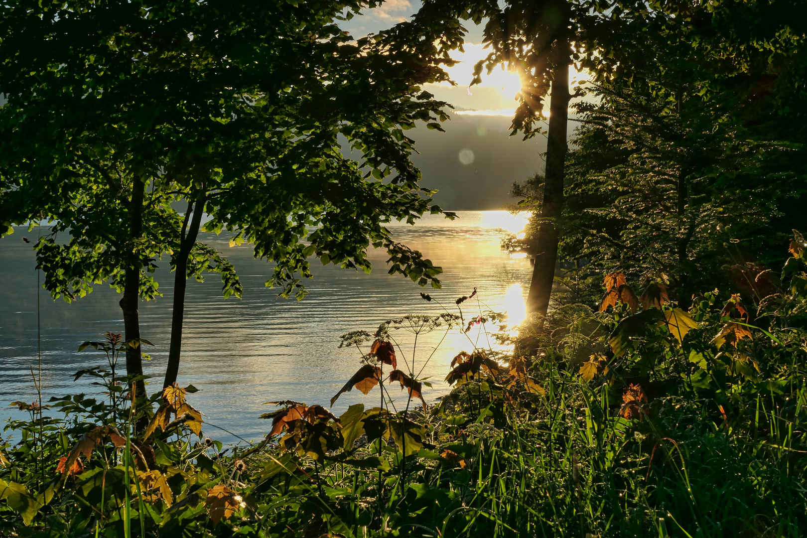 Sonnige Erwartung