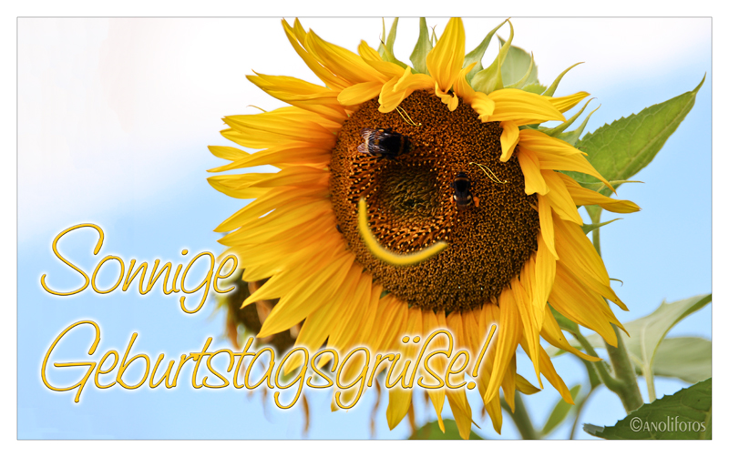 Sonnige Geburtstagsgrüße Foto & Bild gratulation und feiertage