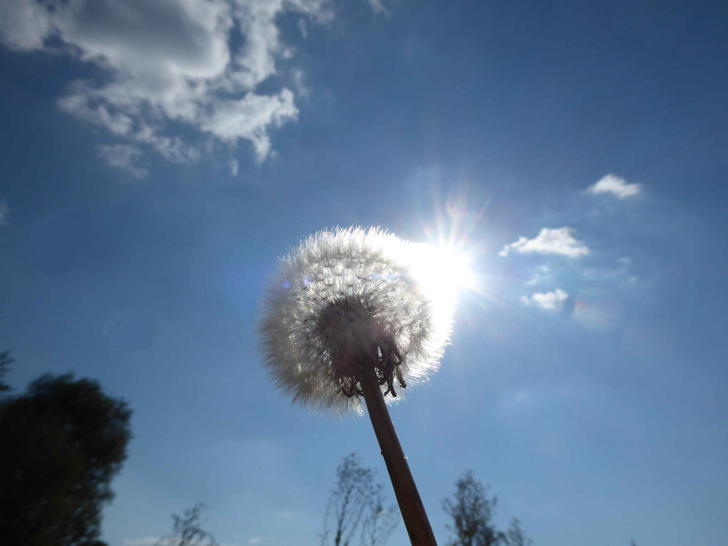 Sonnige Grüße aus dem Fläming