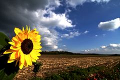 Sonnige Herbstgrüße