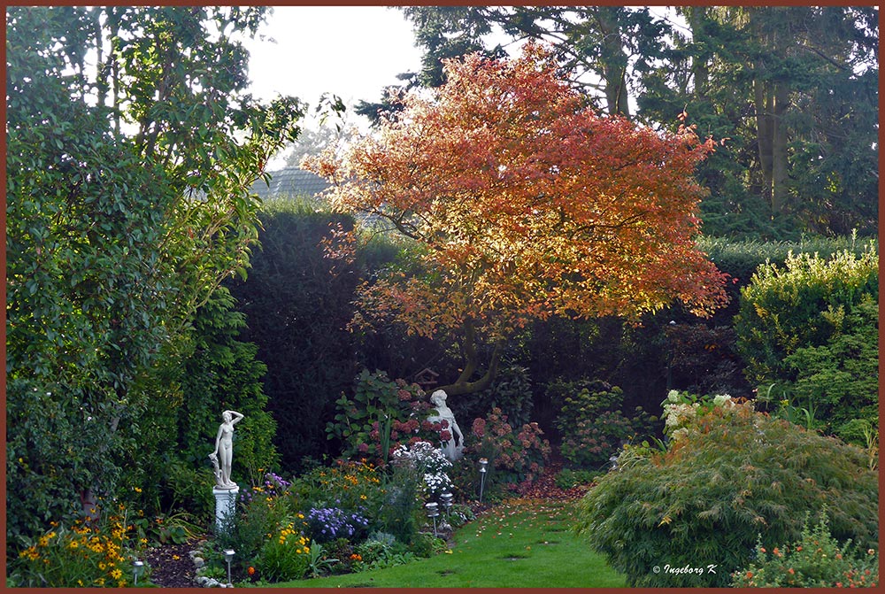 Sonnige Herbstgrüße aus meinem Garten -