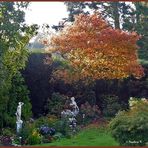 Sonnige Herbstgrüße aus meinem Garten -