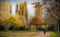 Sonnige Herbststimmung im November am Rheinufer in Mainz-Kastel 