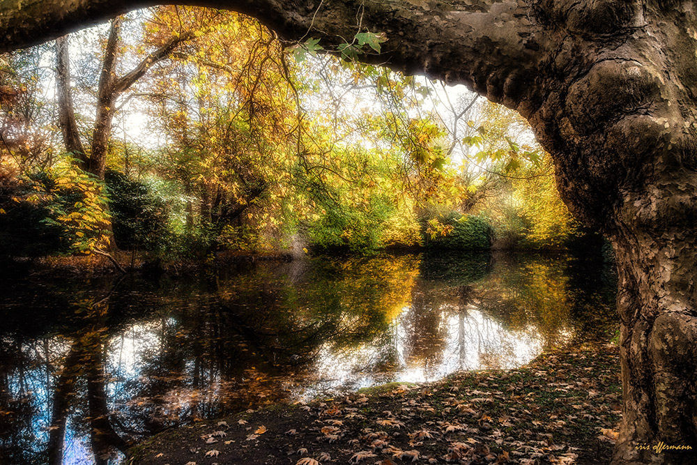 Sonnige Herbsttage