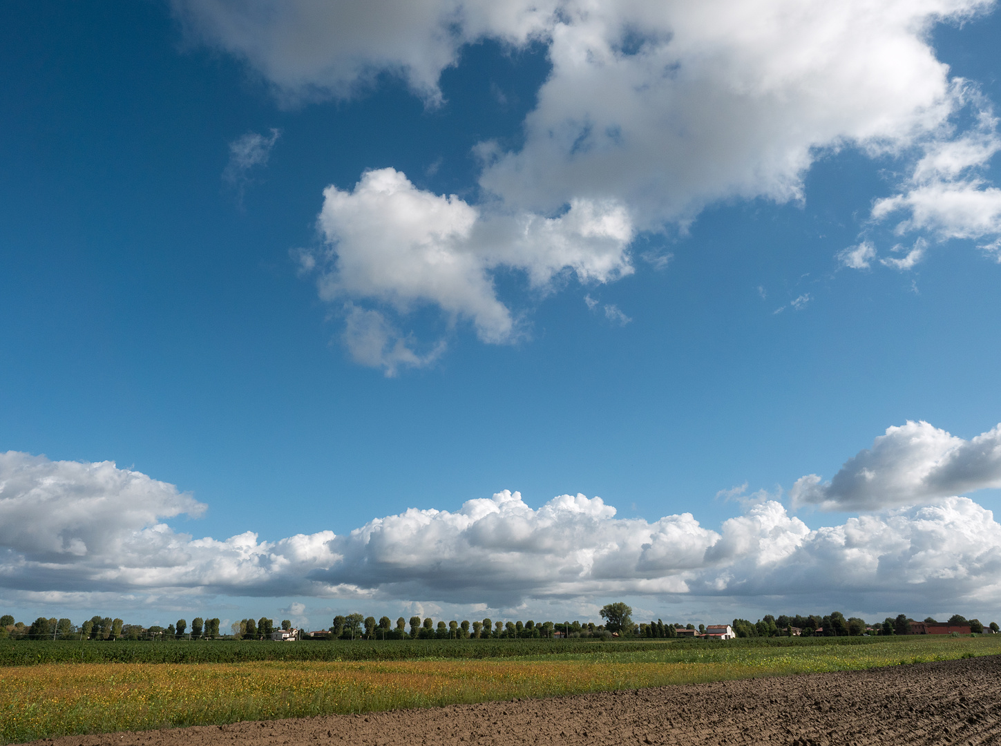 sonnige landschaft...