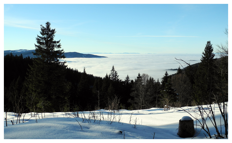 Sonnige Neujahrsgrüße über den Wolken (Brend/Furtwangen)