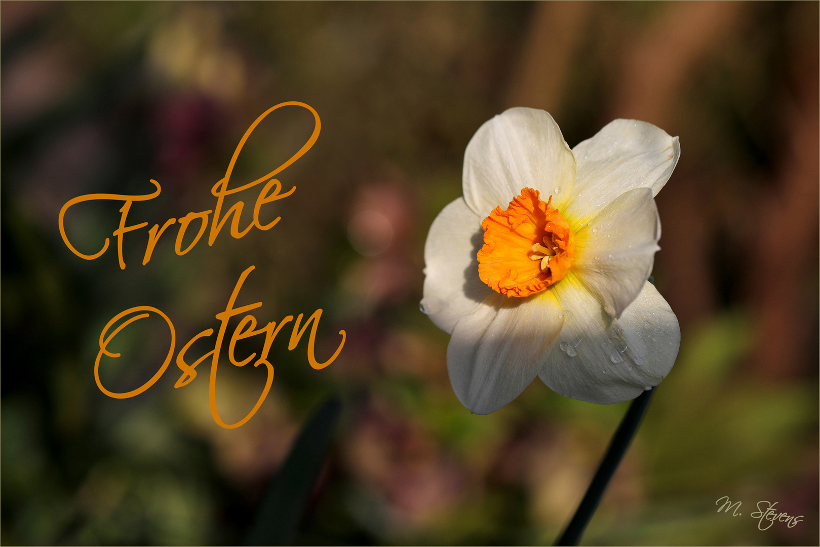 Sonnige Ostern