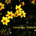 Sonnige Ostertage