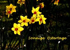 Sonnige Ostertage