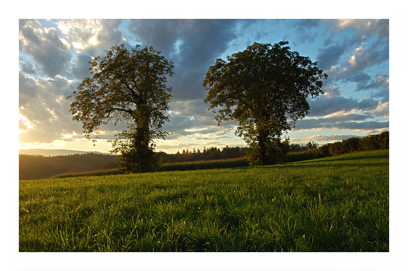 Sonnige Südsteiermark