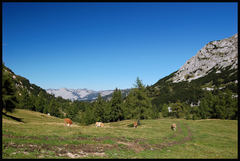 sonnige Tauplitzalm