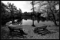 Sonnige traumhafte Bänkle mit Seeblick