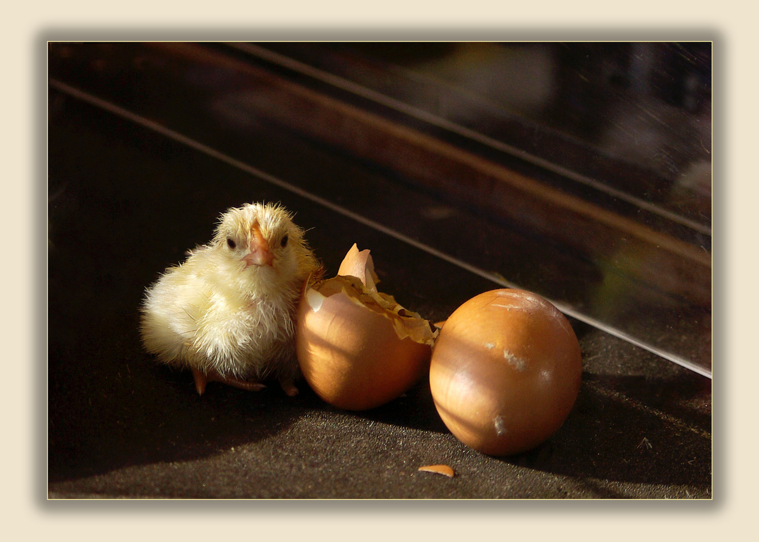 Sonnige und heitere Ostertage