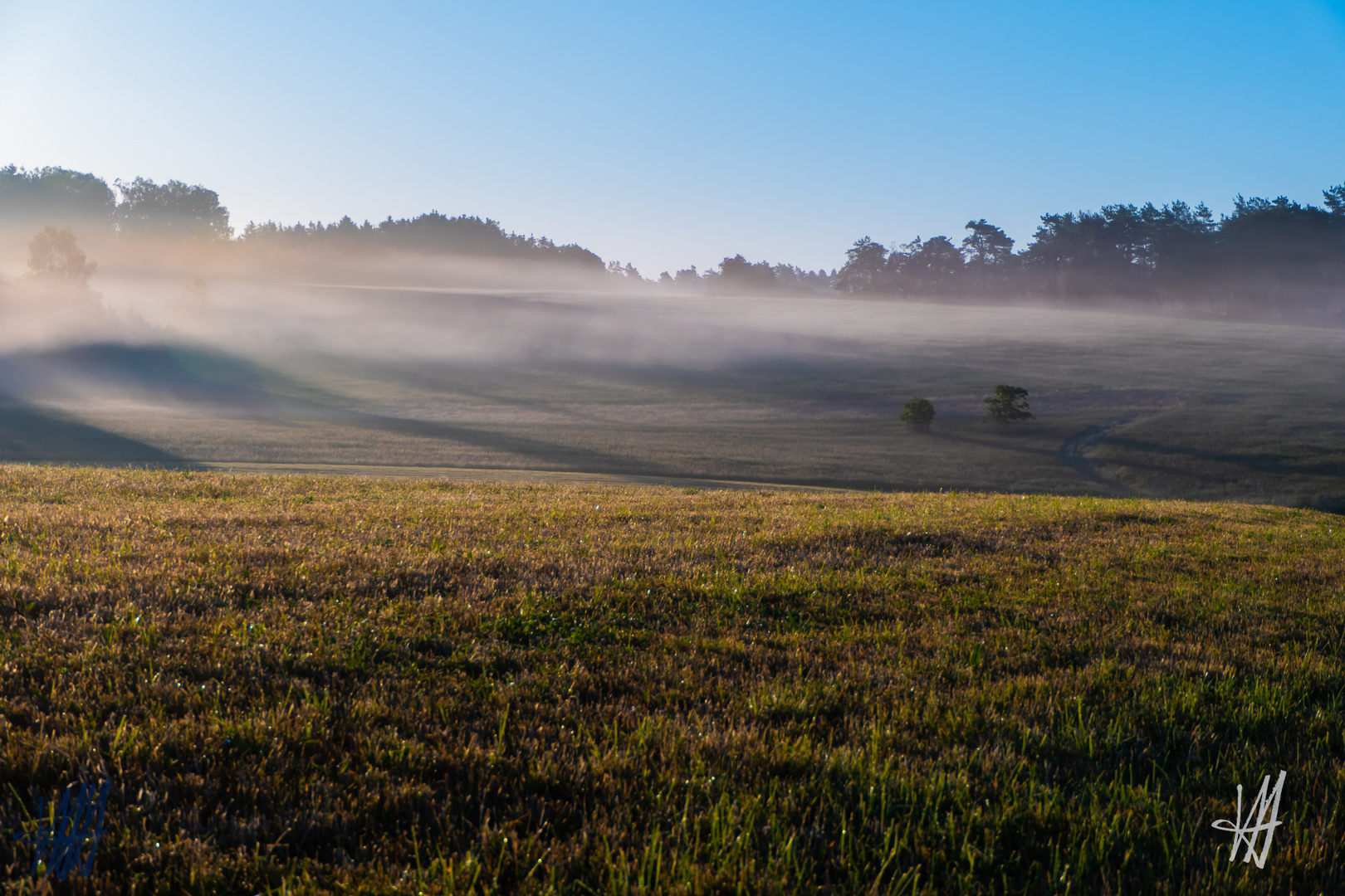 sonnige Wiese im Morgendunst