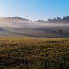 sonnige Wiese im Morgendunst