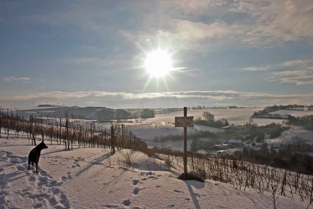 sonnige Winter-Aussicht