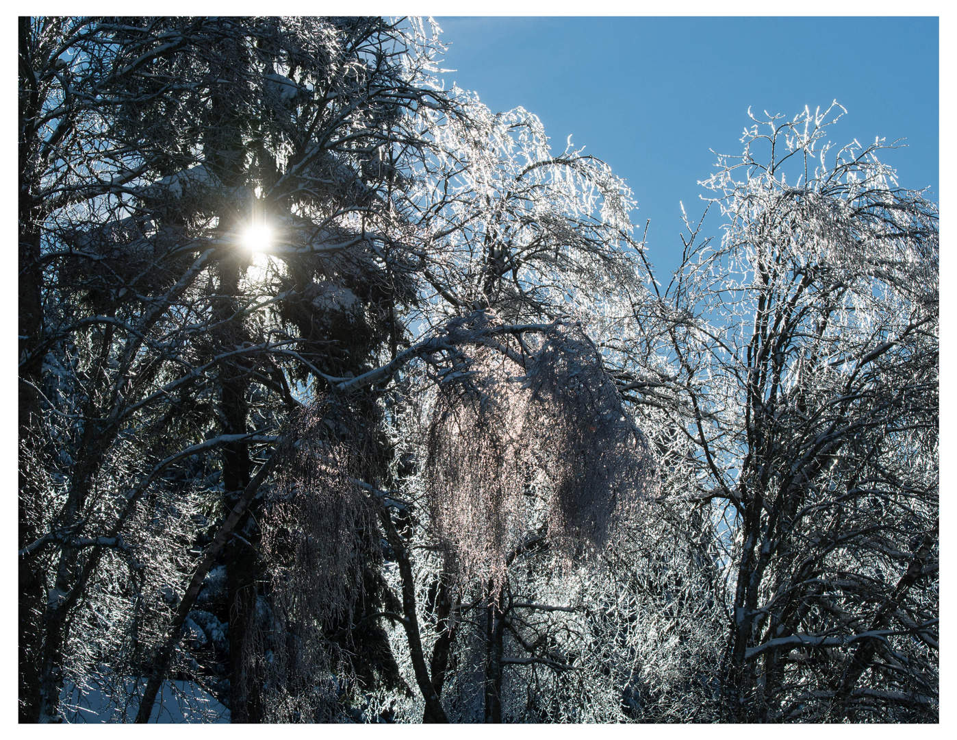 sonnige Winterlandschaft