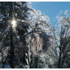 sonnige Winterlandschaft