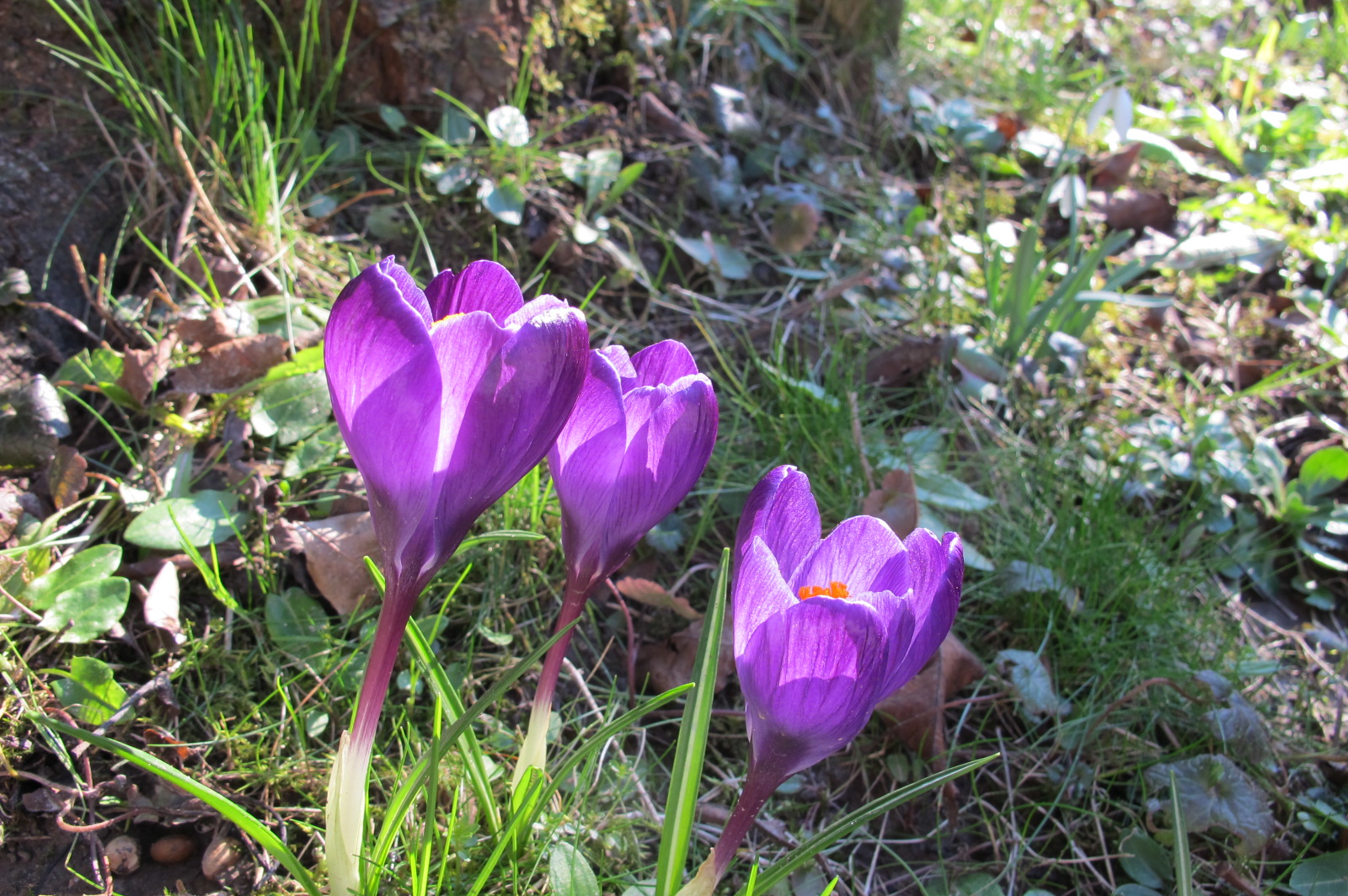 sonnige Wochenendgrüße