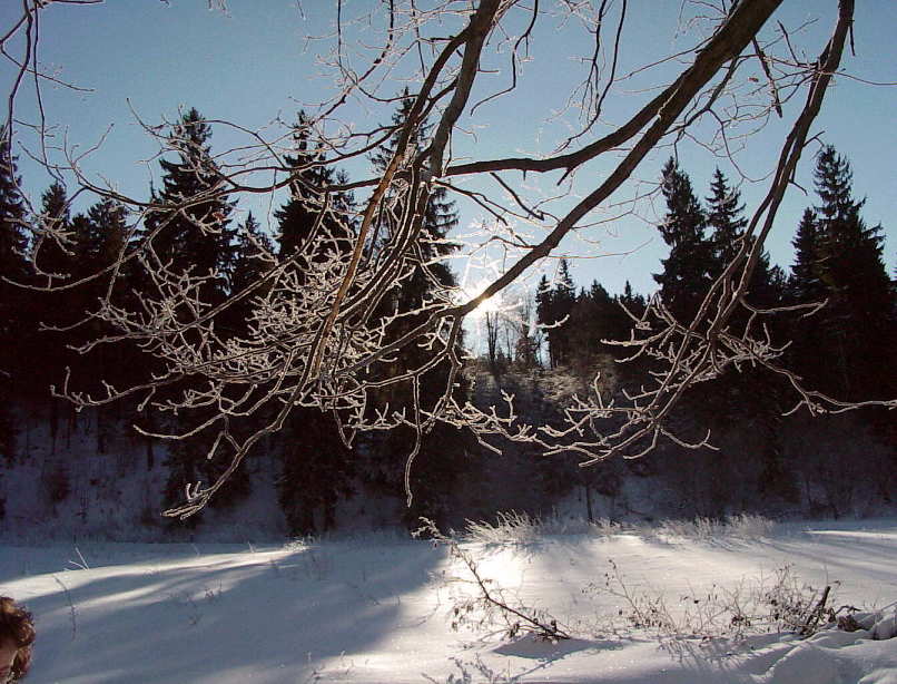 Sonnige Zeiten