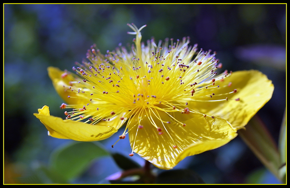 Sonnigen Sonntag