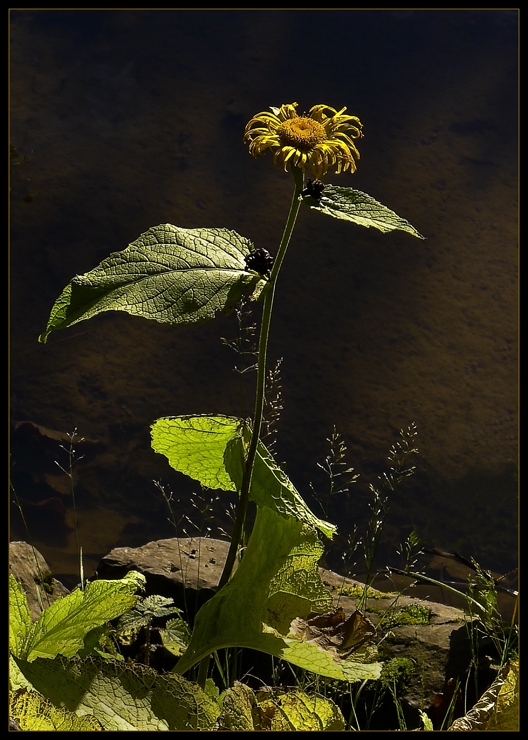 Sonniger Abschied