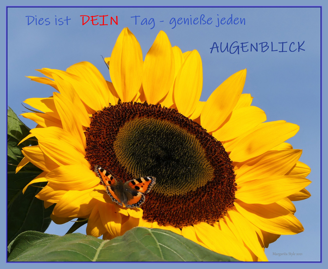 Sonniger Augenblick