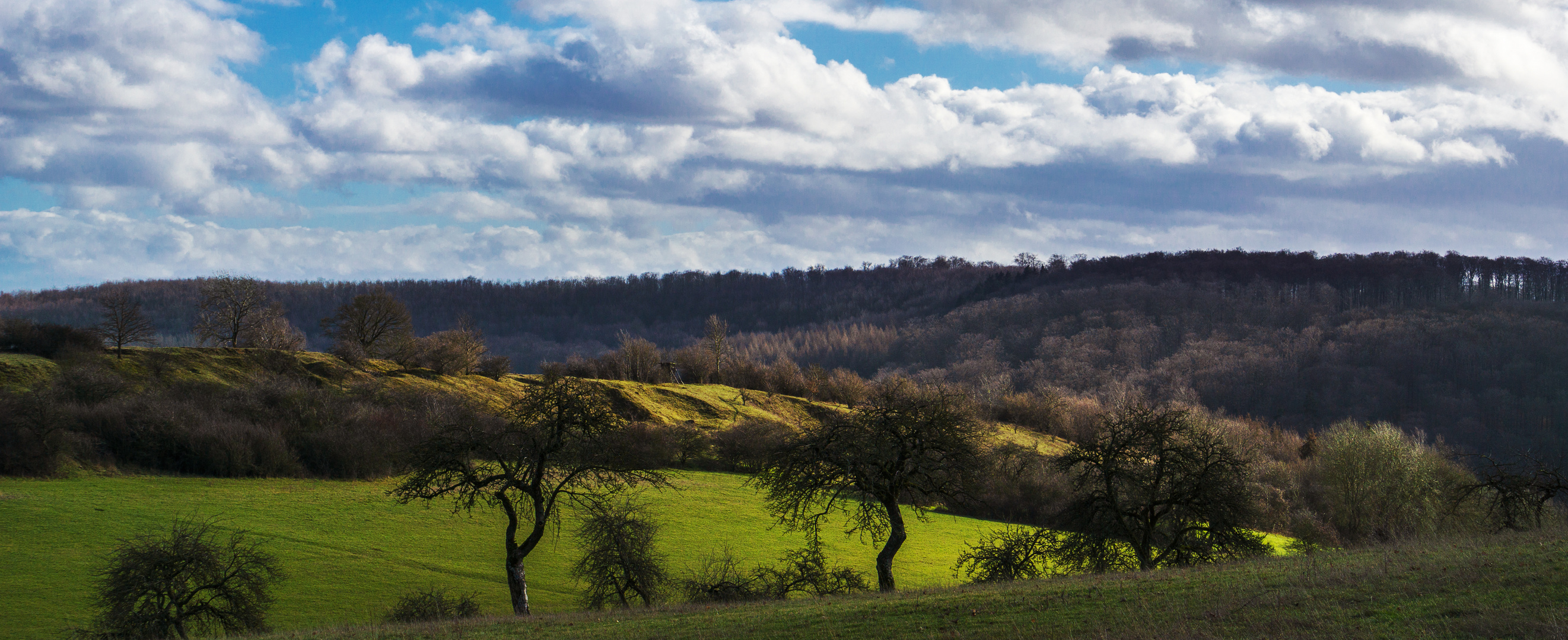 Sonniger Ausblick