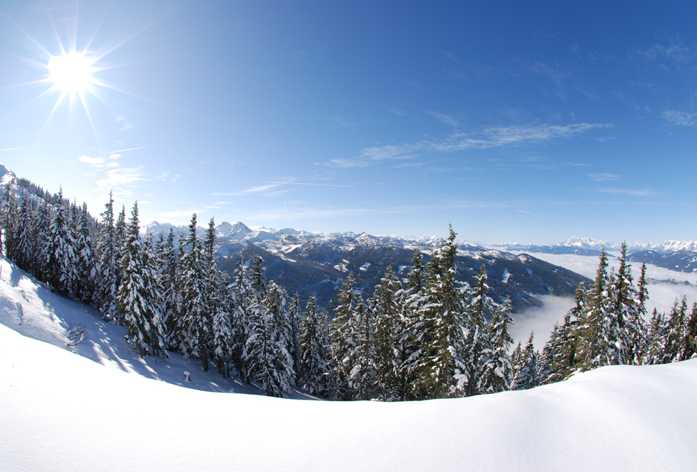 Sonniger Ausblick auf der Reiteralm