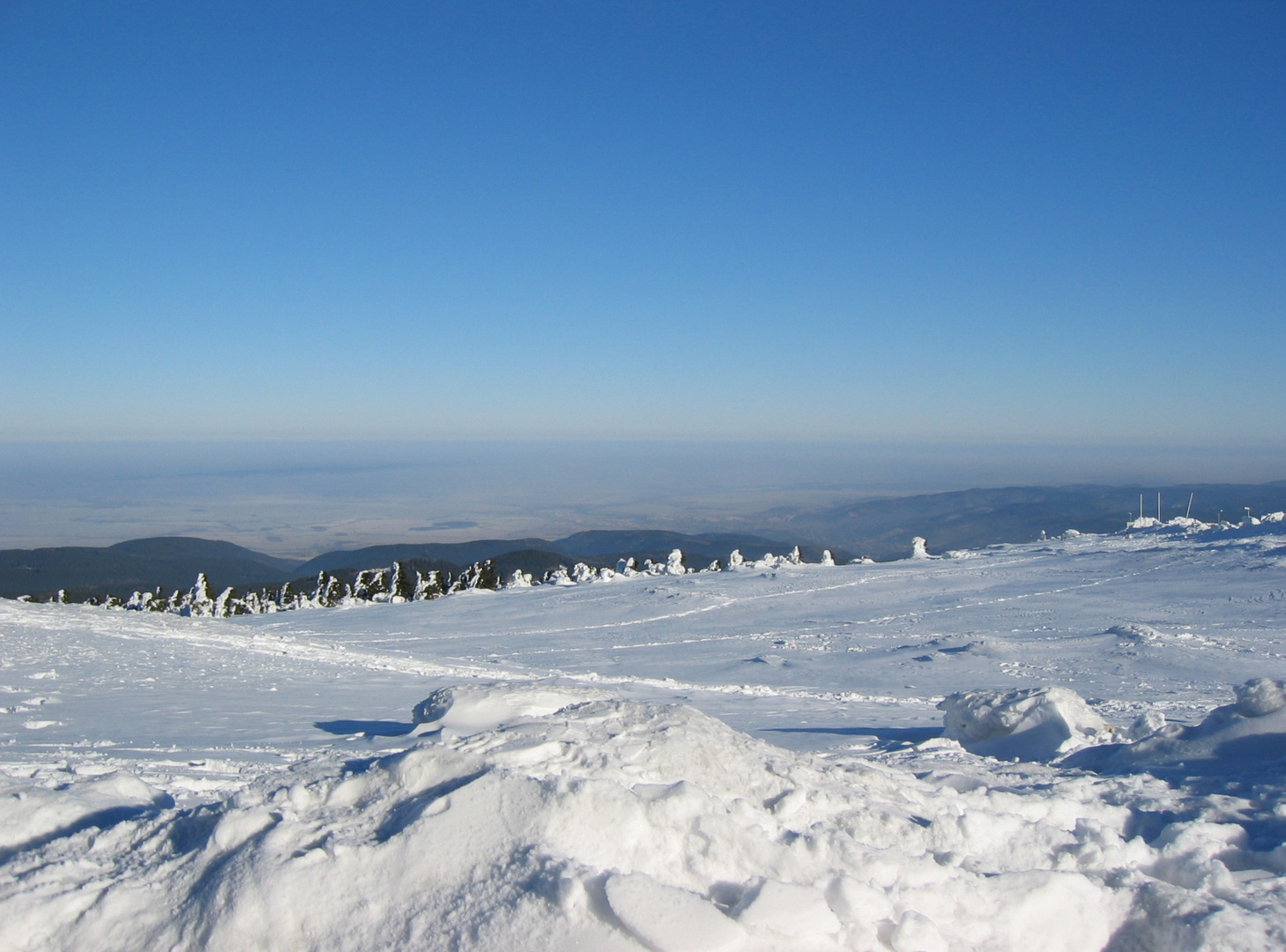 Sonniger Brocken (I)