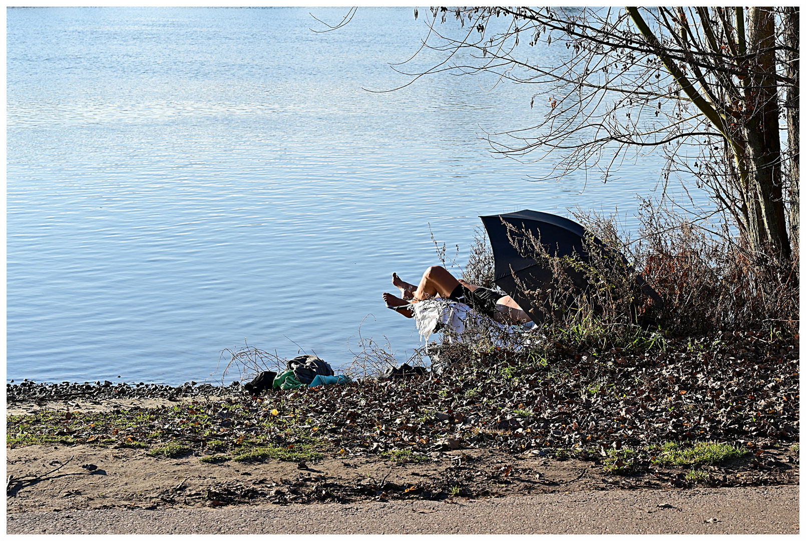 Sonniger Dezember am Neckar