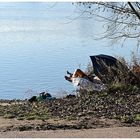 Sonniger Dezember am Neckar