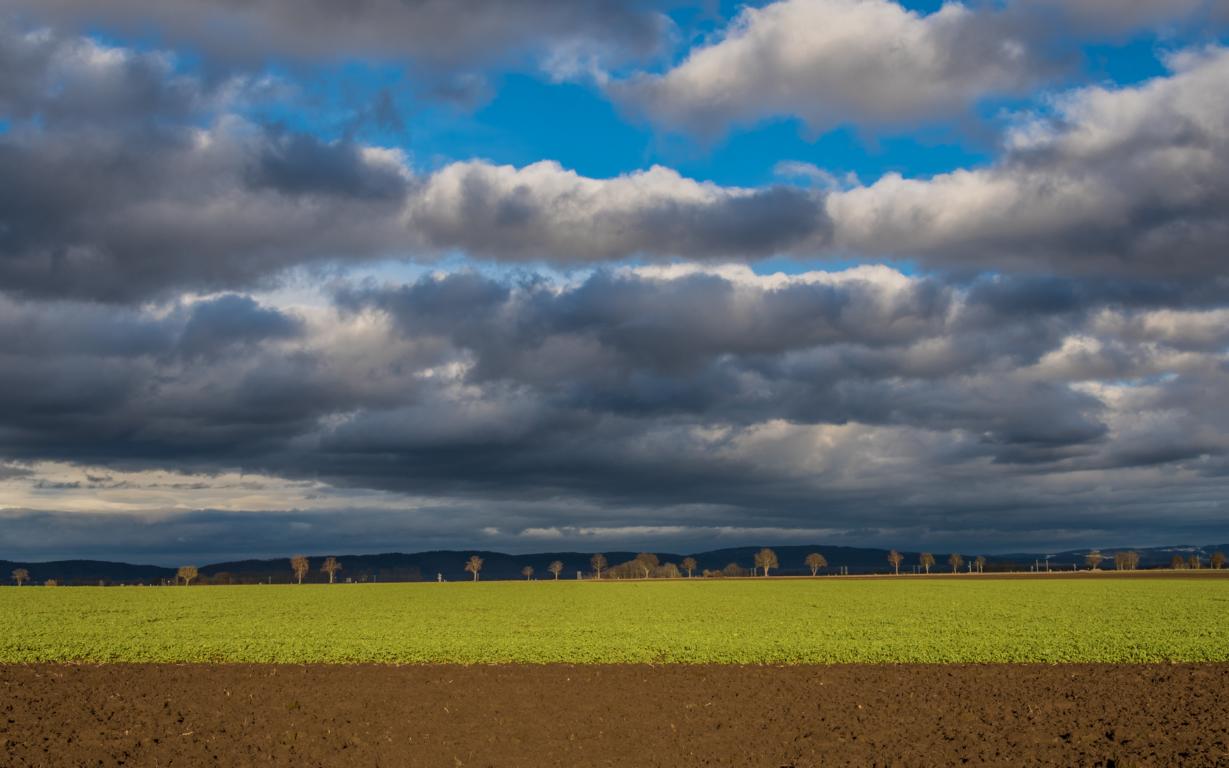 sonniger Dezembertag