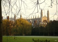 Sonniger, eiskalter Tag in CAMBRIDGE