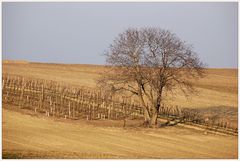 Sonniger Februartag --2