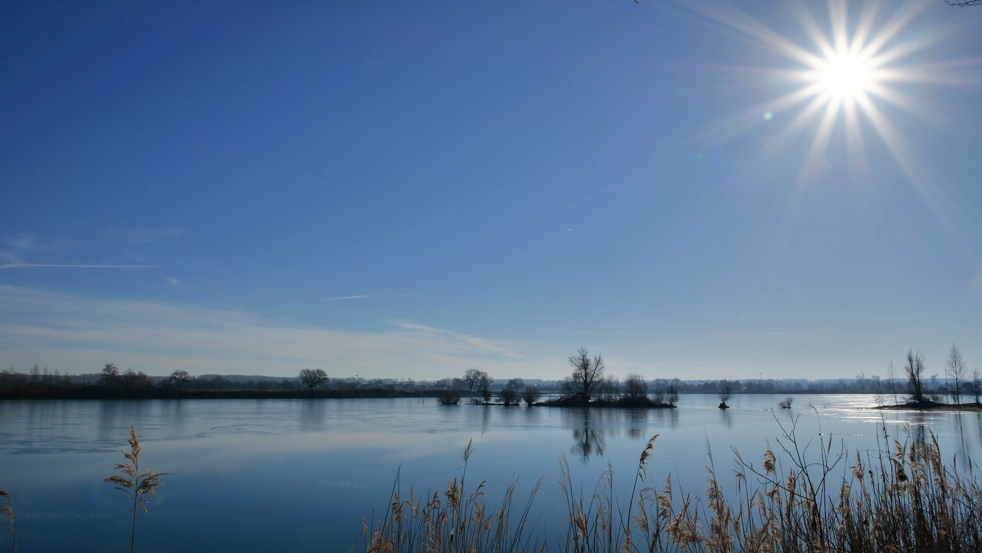 Sonniger Februartag am Baggersee