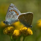 sonniger Frühherbst