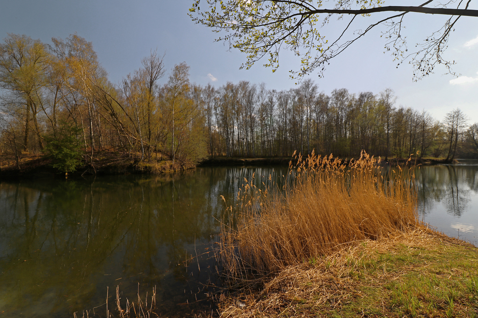 Sonniger Frühlingstag