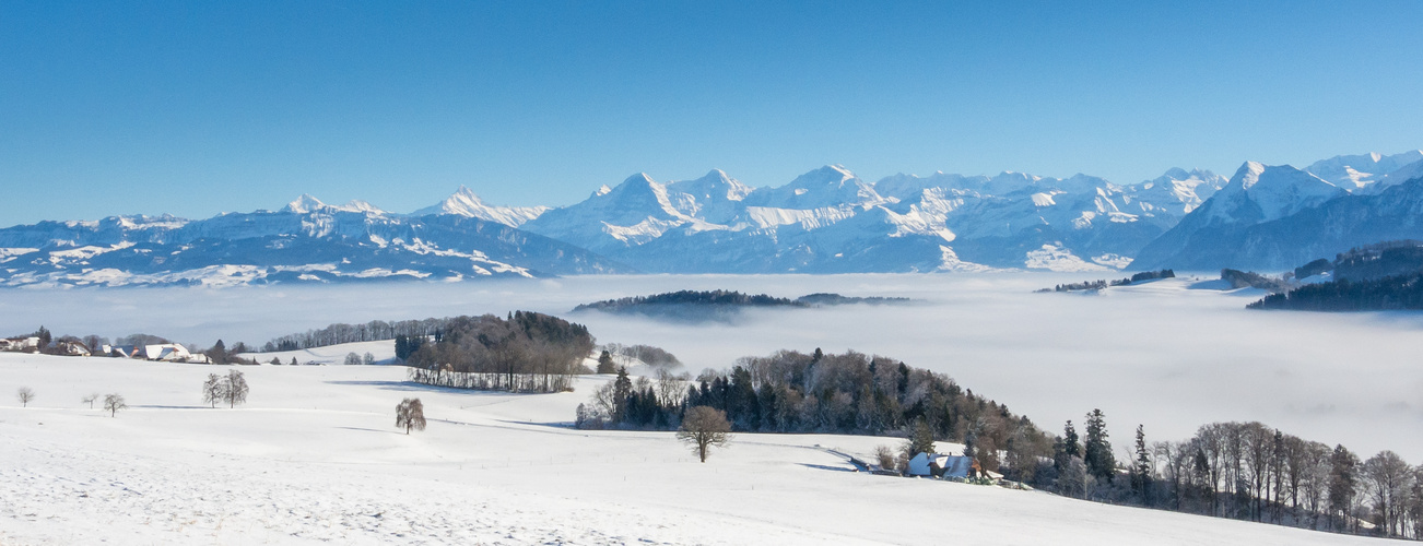 Sonniger geht's nicht ... wärmer schon