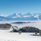 Sonniger geht's nicht ... wärmer schon