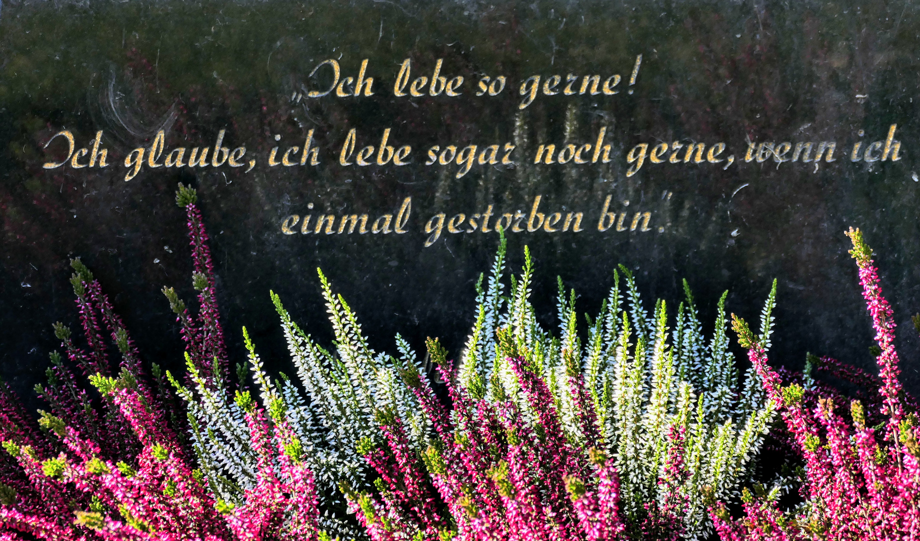 Sonniger Grabstein-Spruch