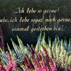 Sonniger Grabstein-Spruch